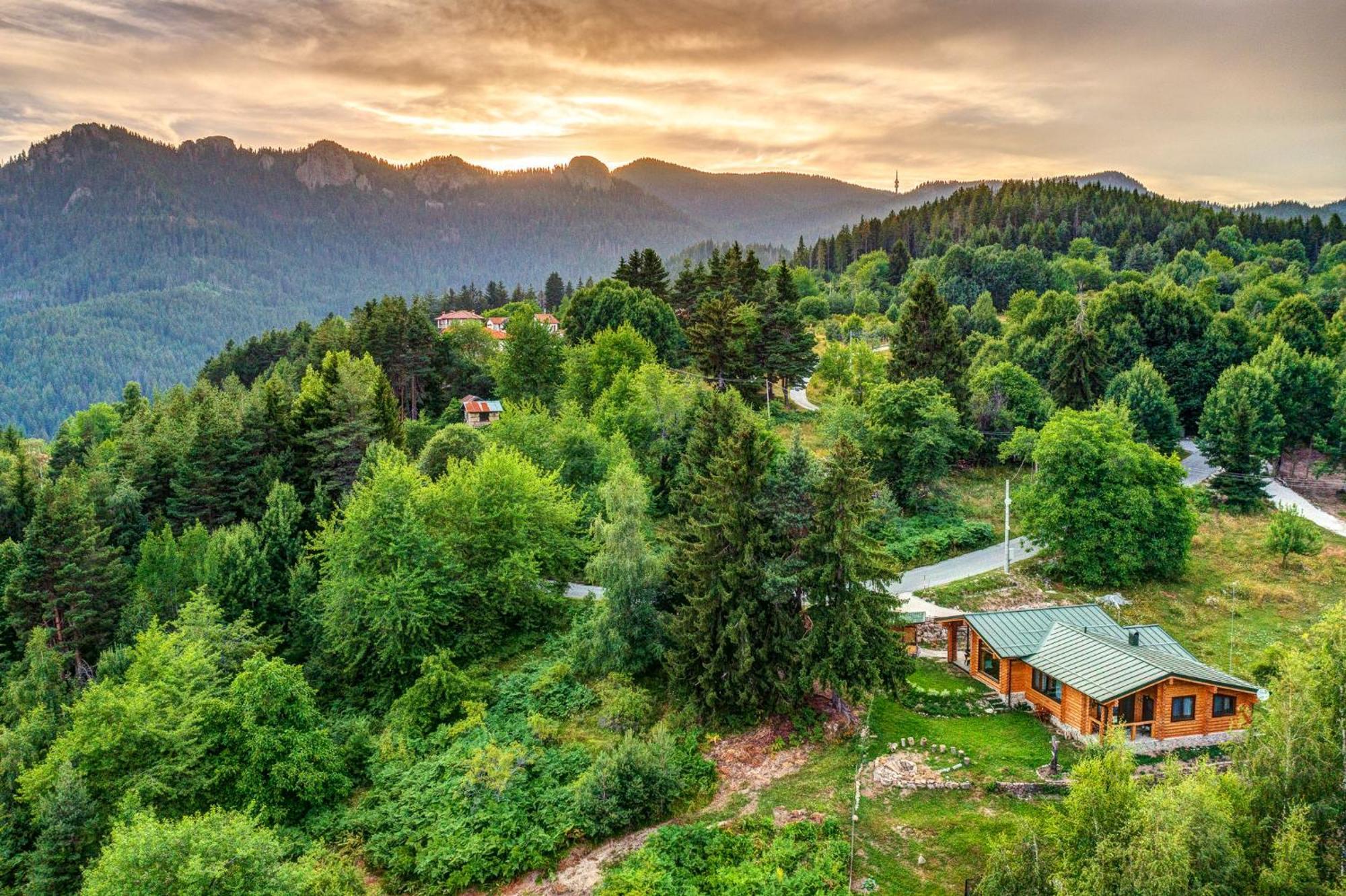 Вила Брезите Pamporovo Exterior foto