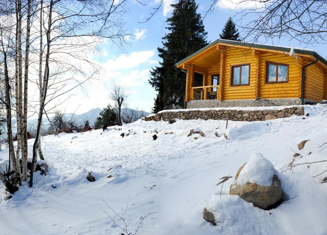Вила Брезите Pamporovo Exterior foto